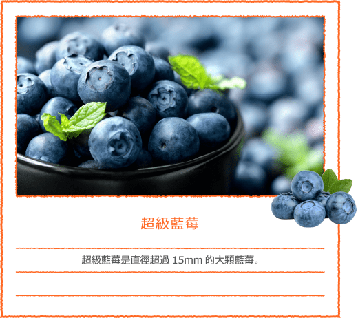 超級藍莓
