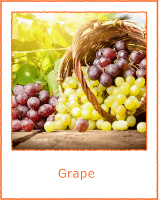 Grape