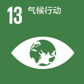 13 針對氣候變動,採取具體對策