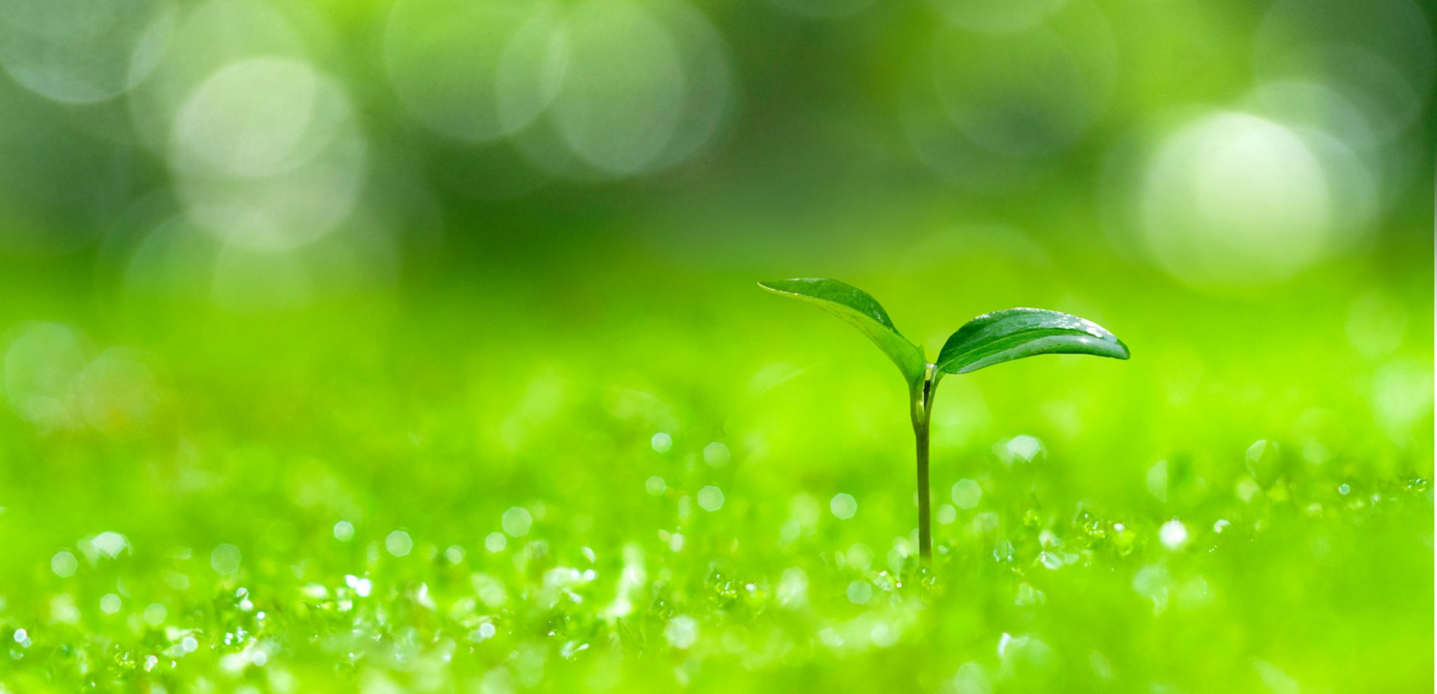 サステナビリティ