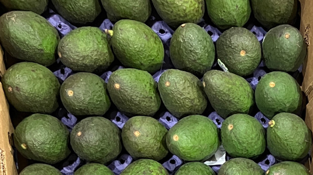 入荷・熟成開始