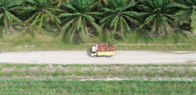 STRENGTH 私たちの強み