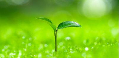 SUSTAINABILITY サステナビリティ