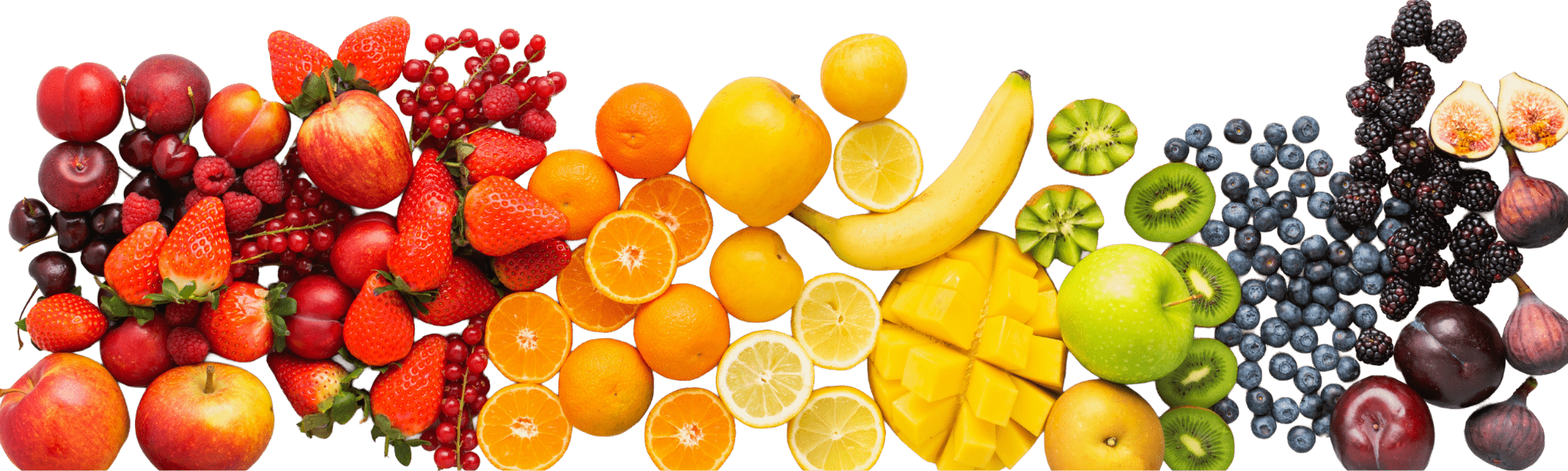 船昌商事を知る