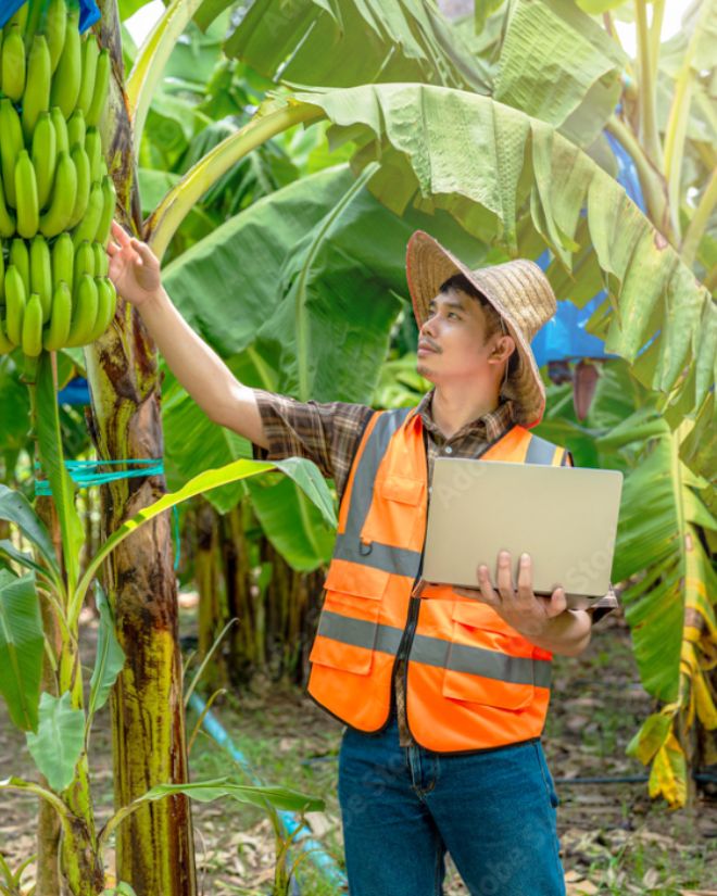 STRENGTH 02 産地の独自情報を保有