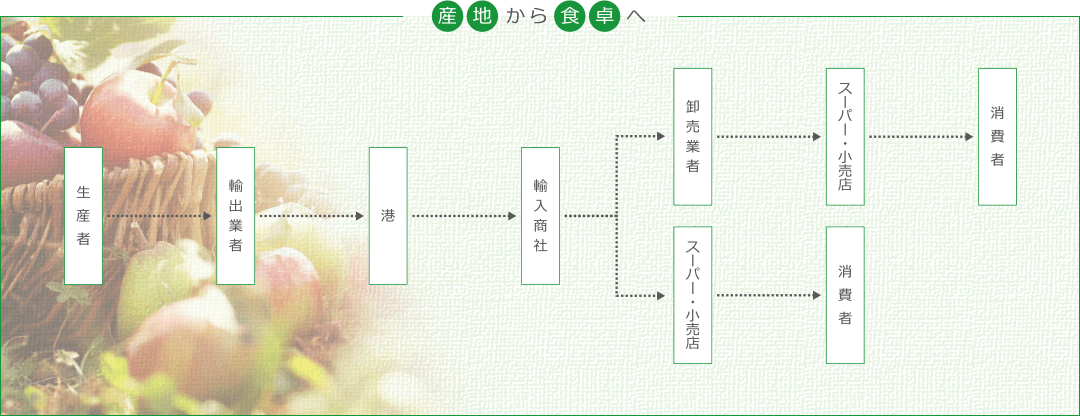 産地から食卓へ